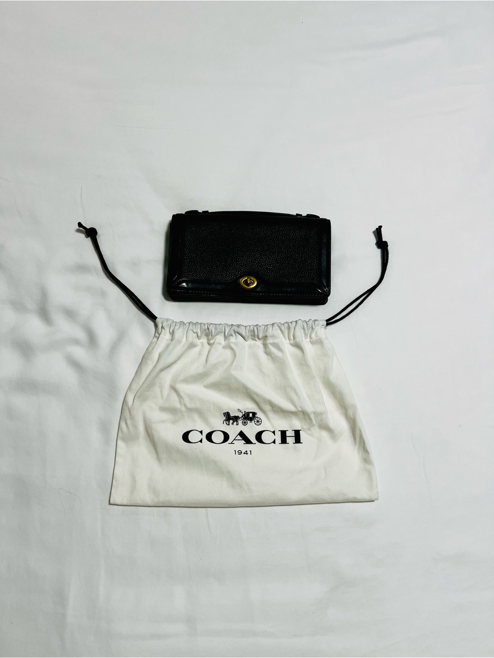 COACH Chain Cross Body Bag